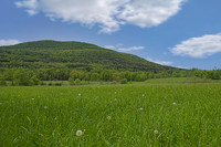 Catskills Windham