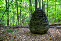 Sapsucker Egg